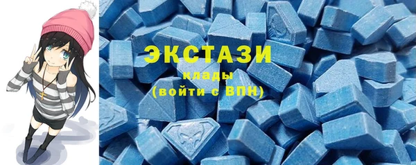 ПСИЛОЦИБИНОВЫЕ ГРИБЫ Гусь-Хрустальный