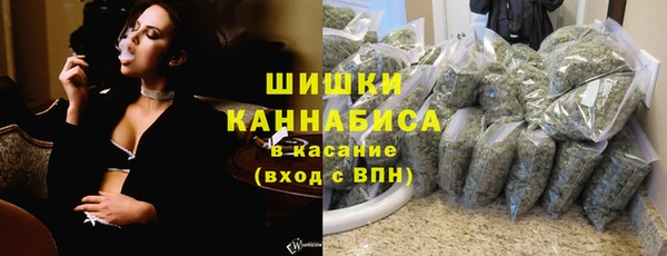ПСИЛОЦИБИНОВЫЕ ГРИБЫ Гусь-Хрустальный