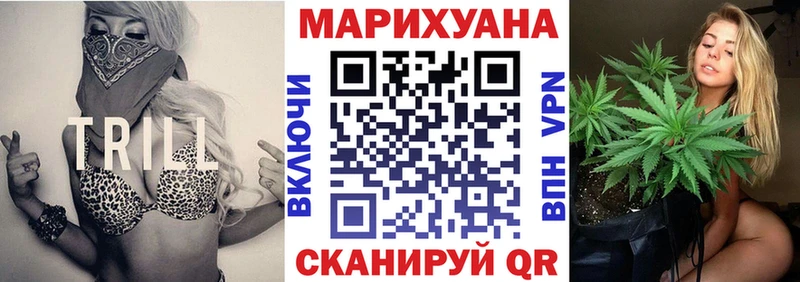 купить  цена  Жердевка  Бошки Шишки OG Kush 